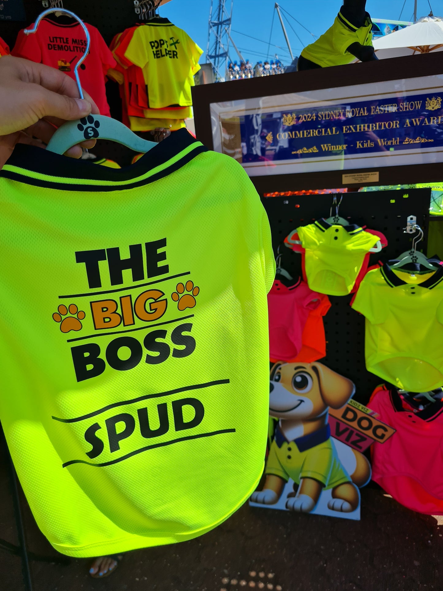 DOG POLO - The Big Boss