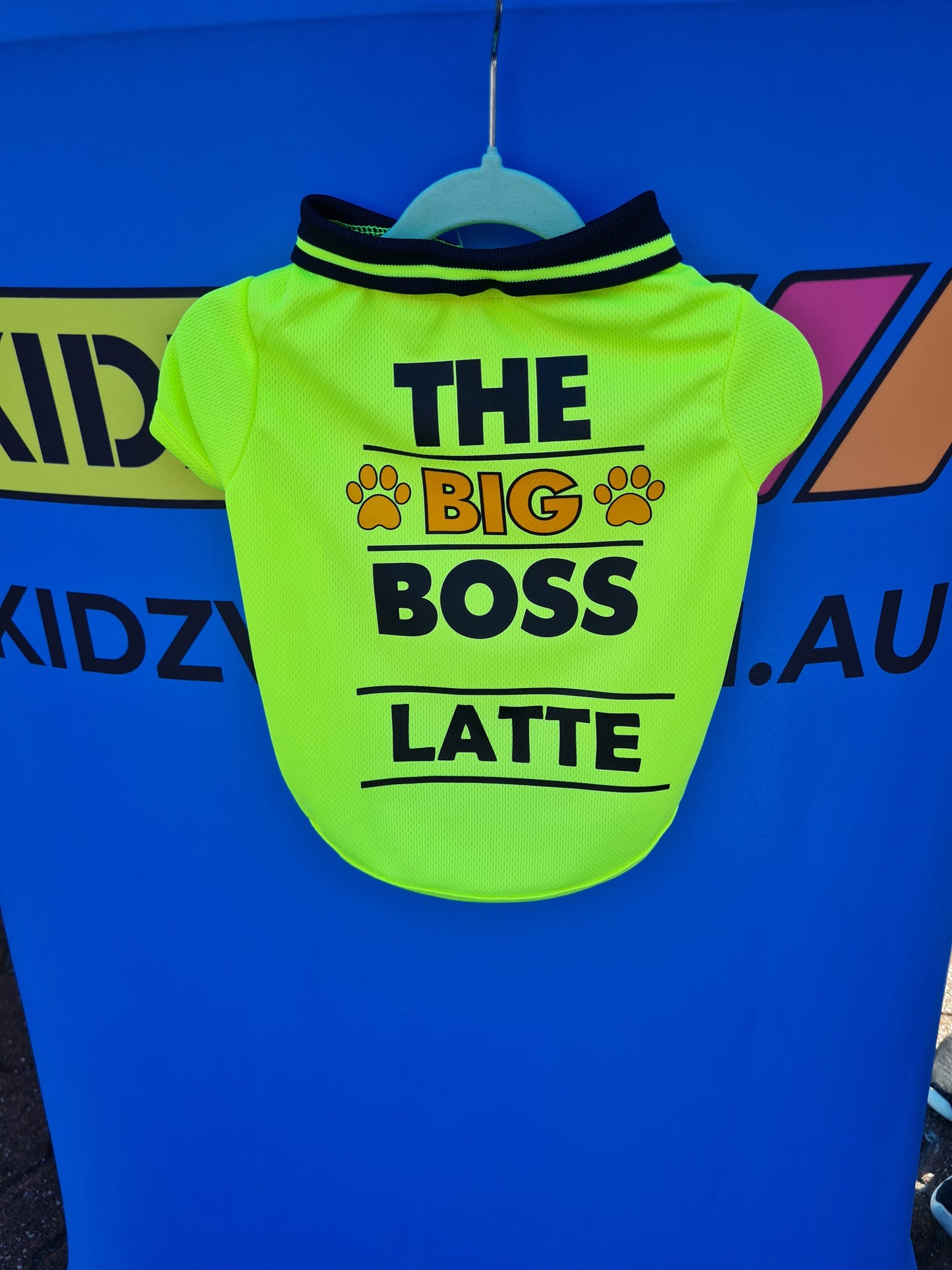 DOG POLO - The Big Boss