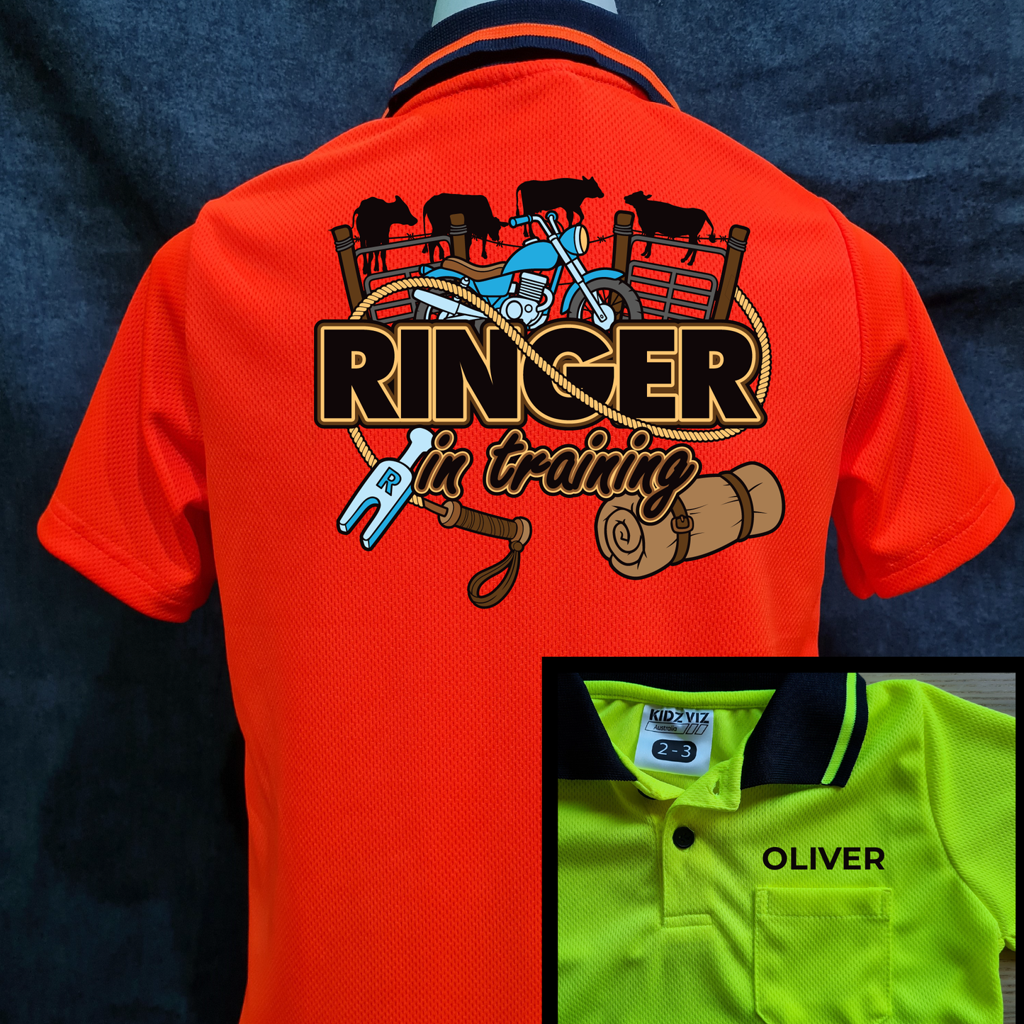 Ringer in Training