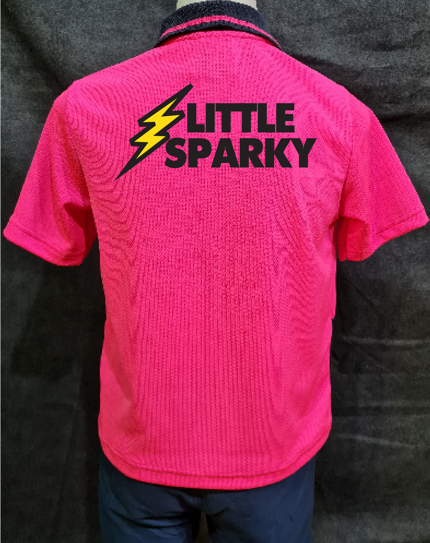 Little Sparky