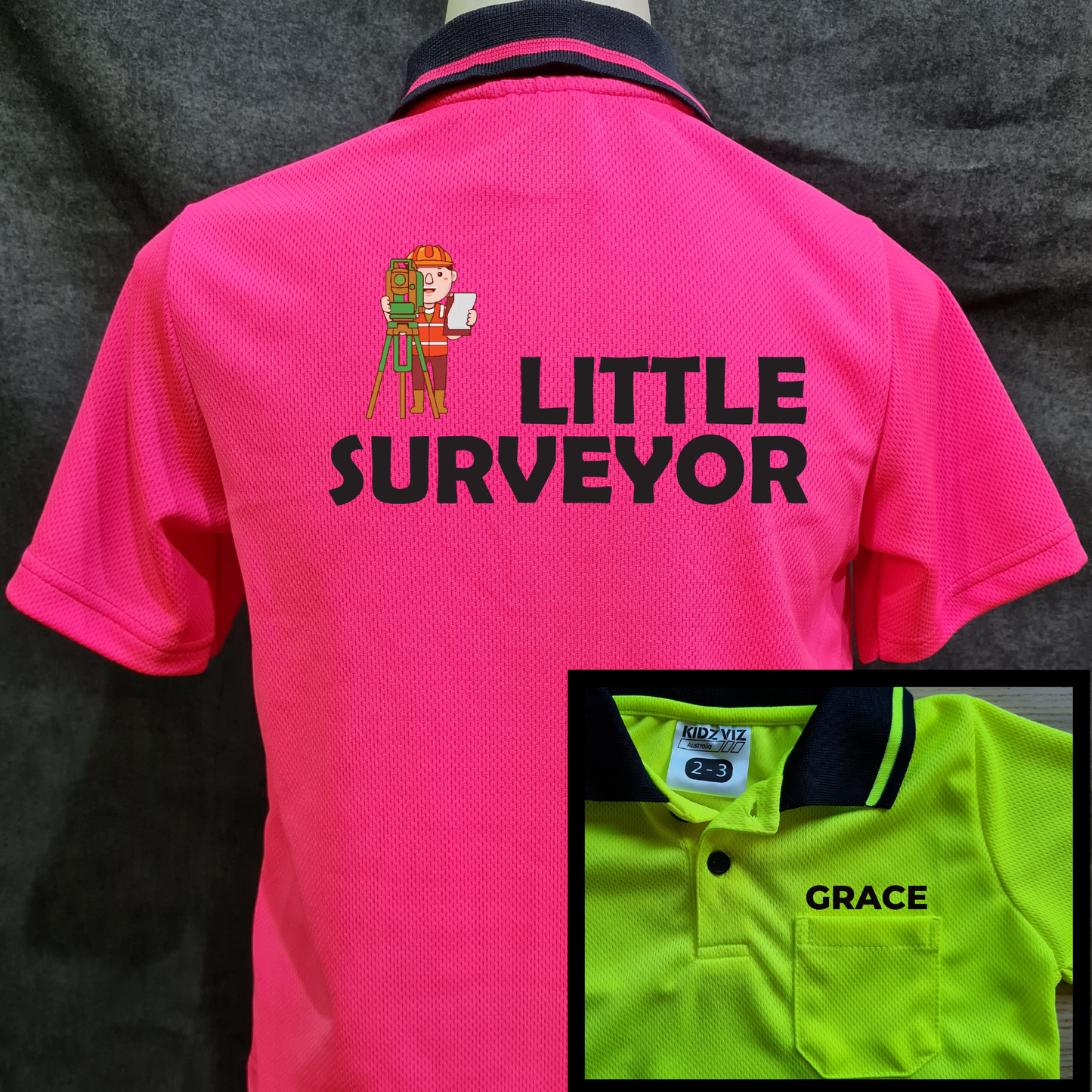 Little Surveyor