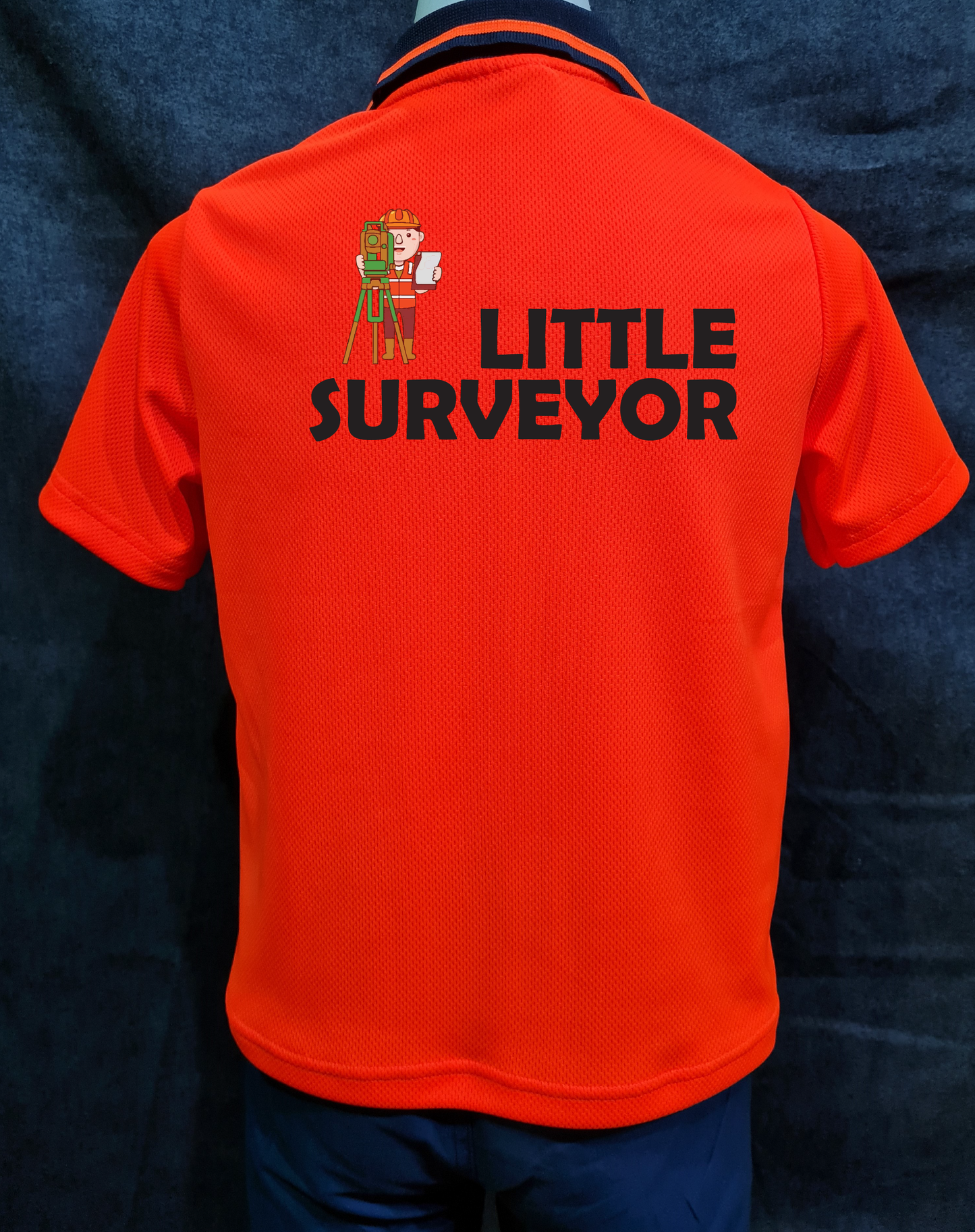 Little Surveyor