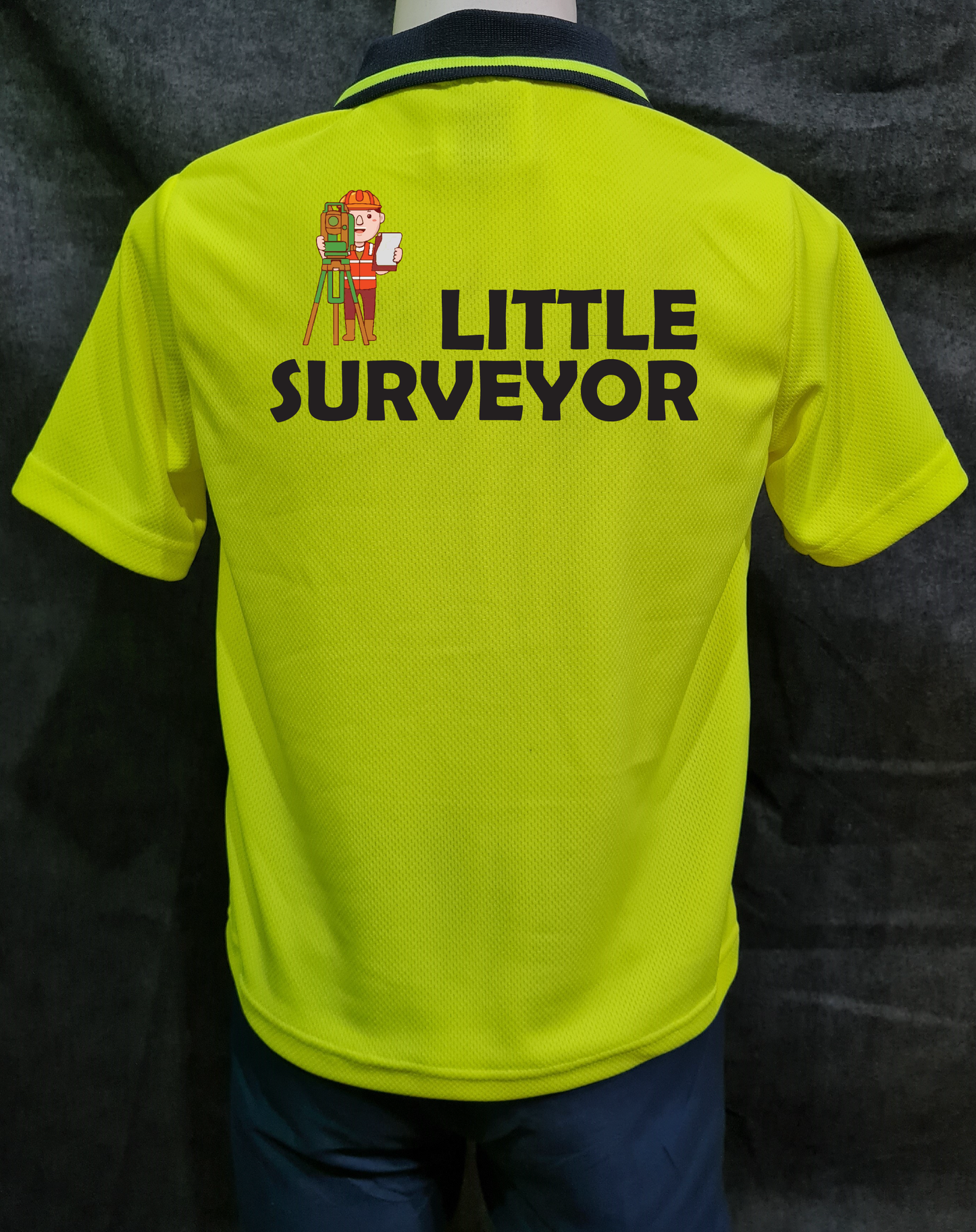 Little Surveyor