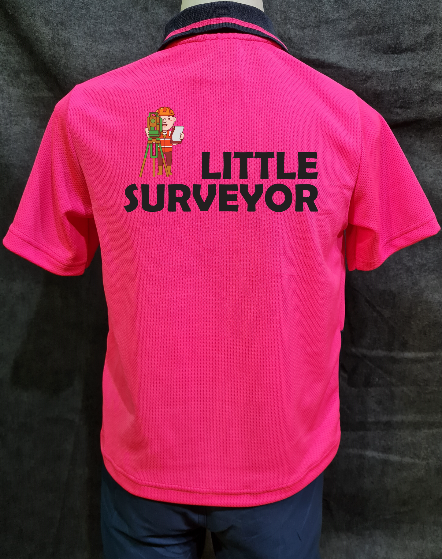 Little Surveyor