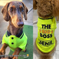 DOG POLO - The Big Boss