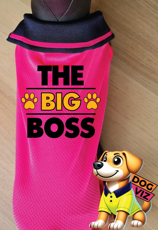 DOG POLO - The Big Boss