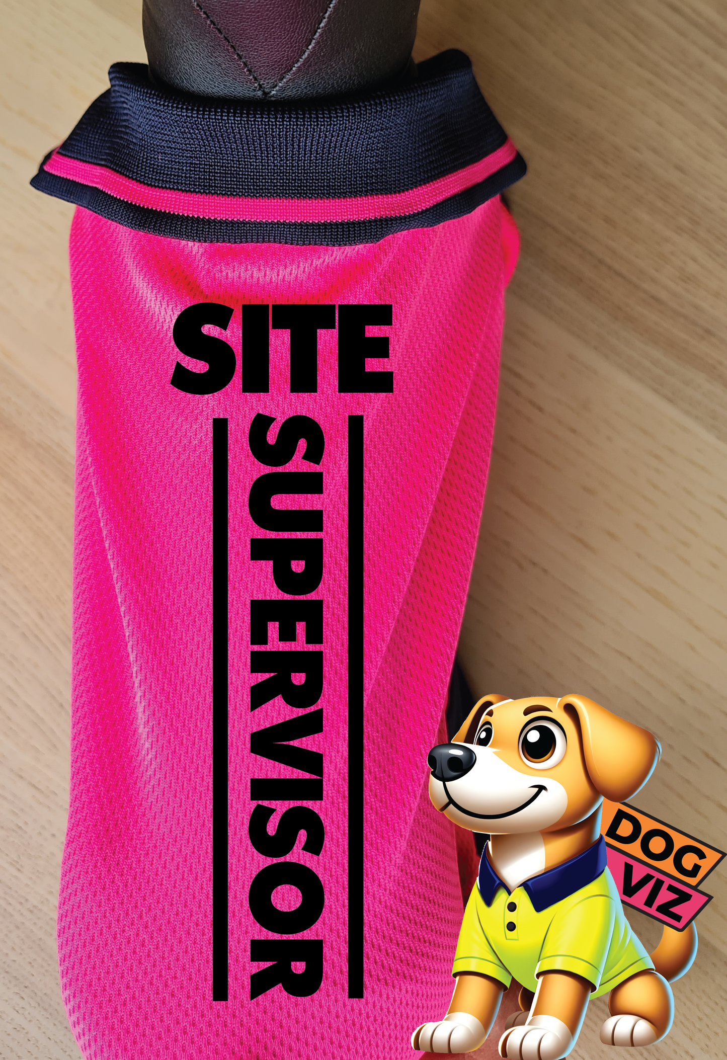 DOG POLO - Site Supervisor
