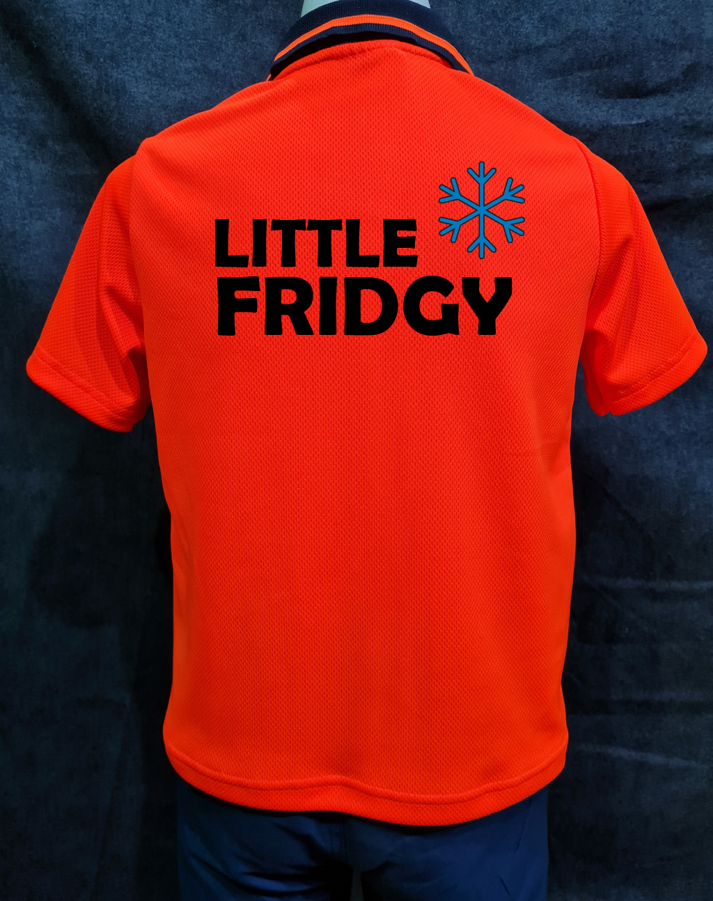 Little Fridgy