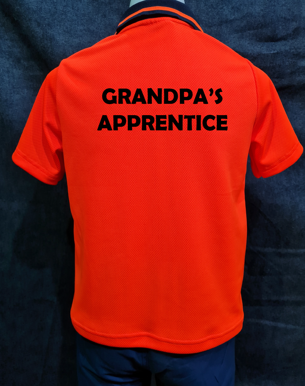 Grandpa's Apprentice