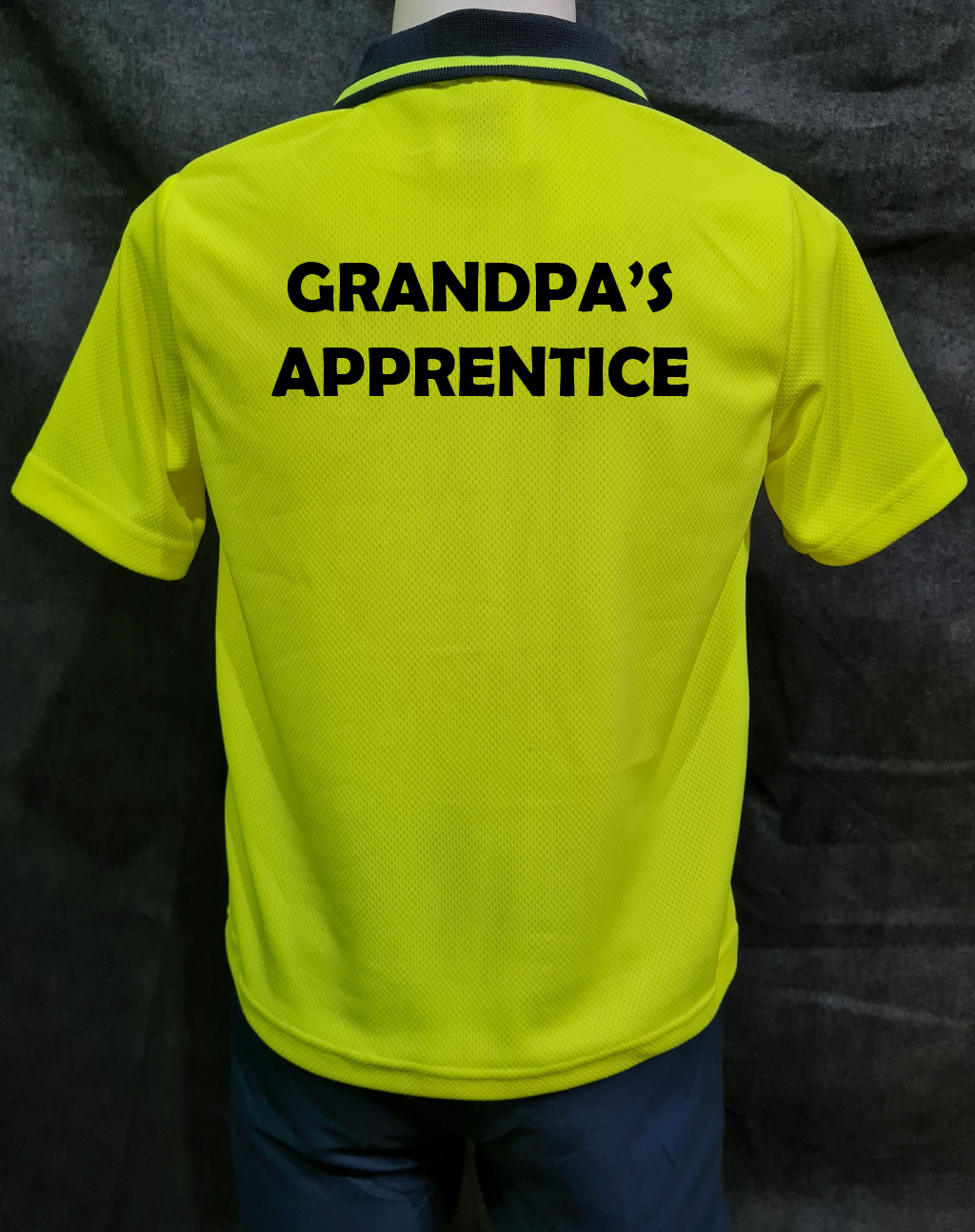 Grandpa's Apprentice