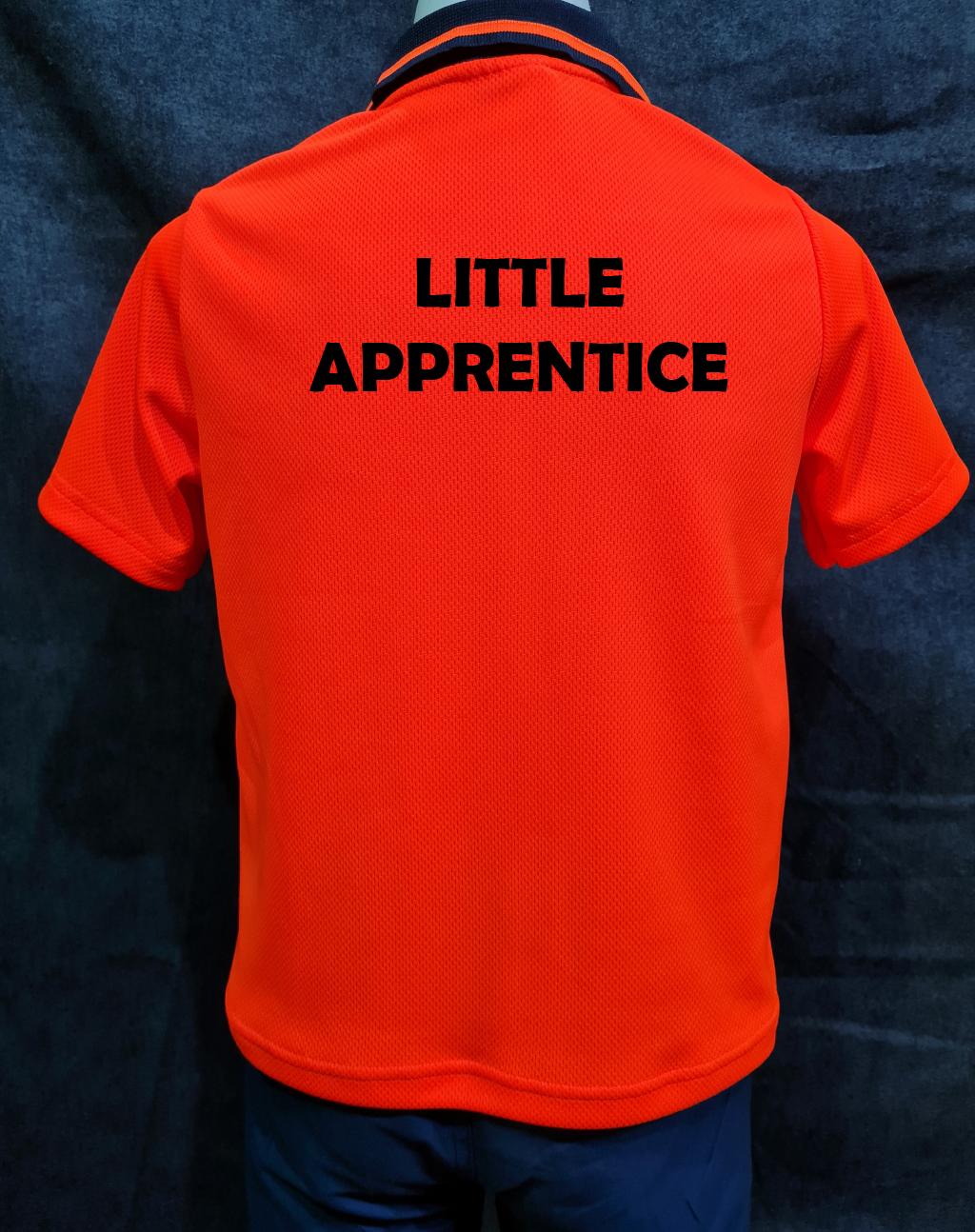 Little Apprentice