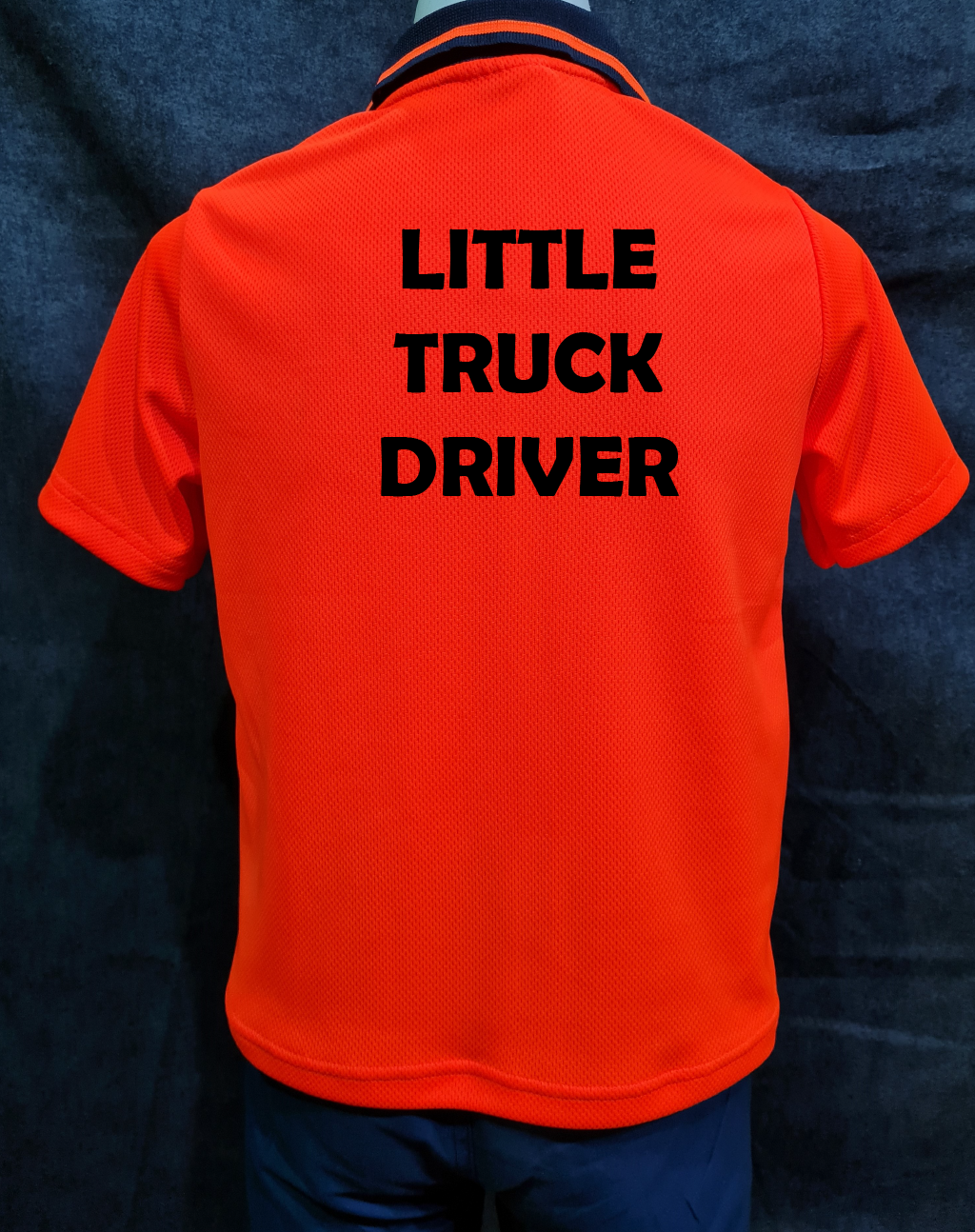 Little Truck Driver