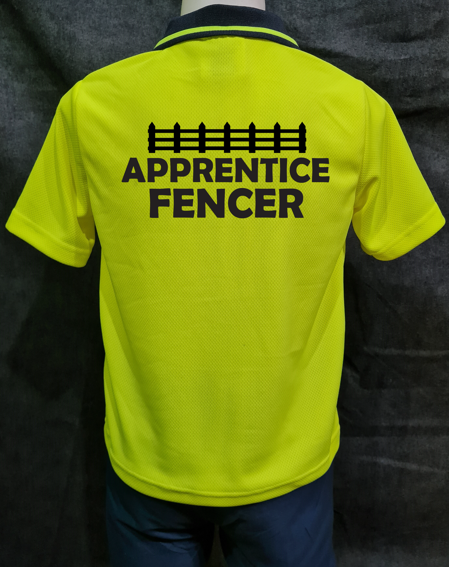 Apprentice Fencer